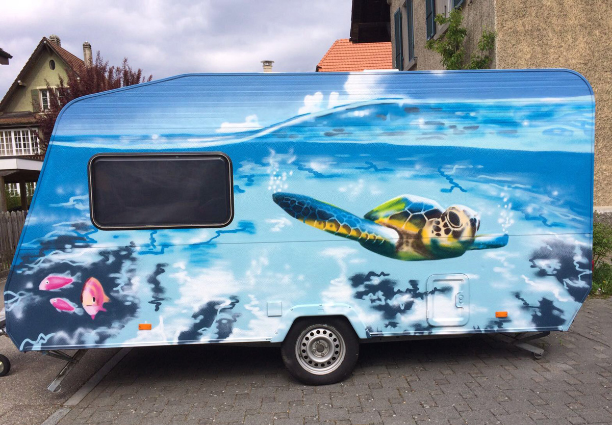 Schildkröte schwimmt im Meer auf einem Wohnwagen