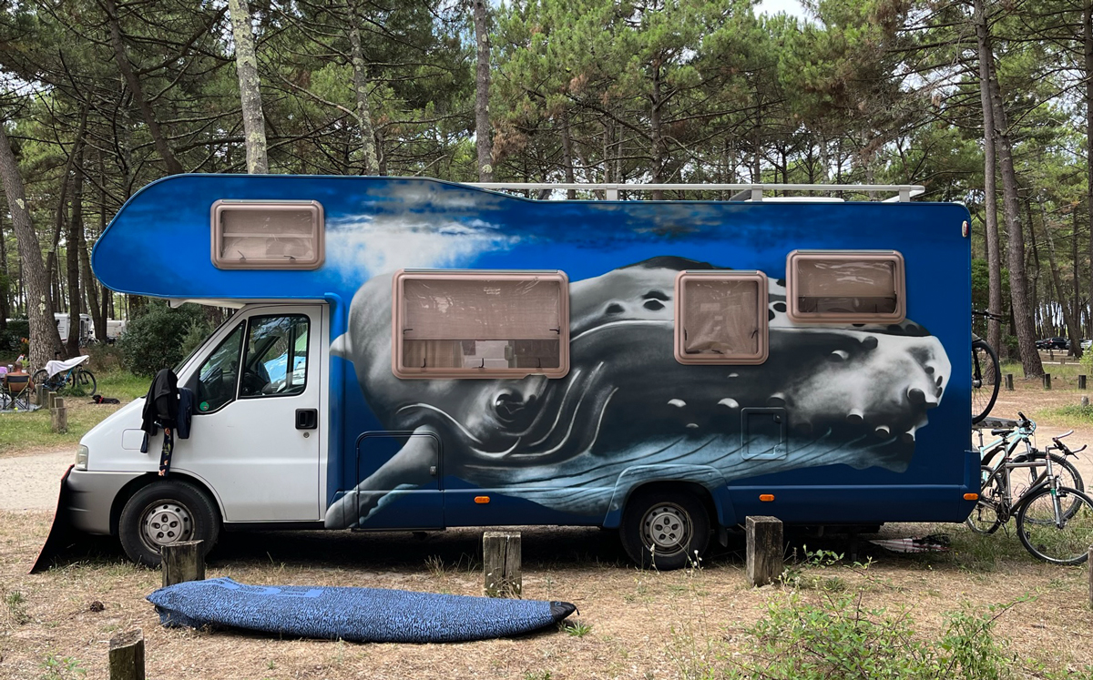 Wohnmobil mit Graffitimotiv Buckelwal