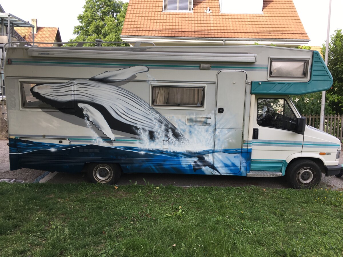 Buckelwal auf einem Wohnmobil springt aus dem Meer